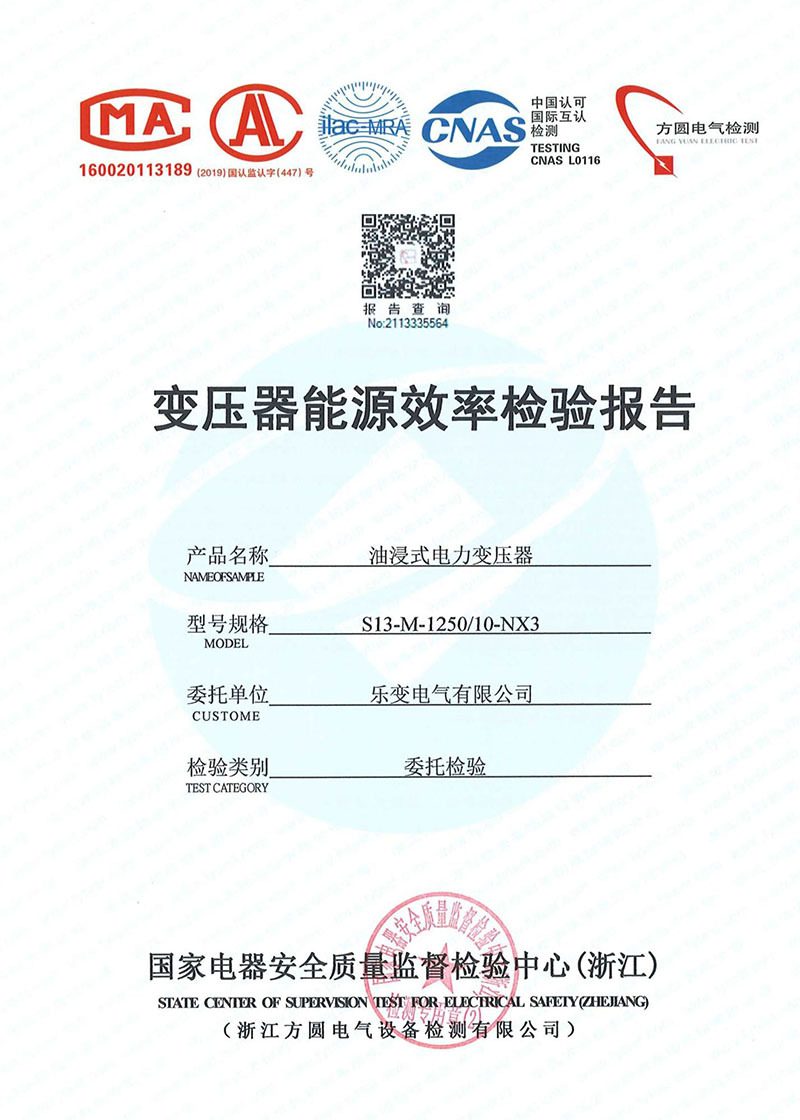 变压器能源效率检验报告